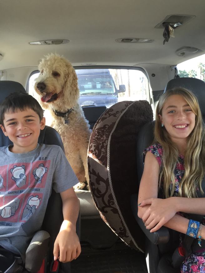 1399674_10153355654144619_1025590539219127888_o